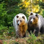 Hotell Au Lit Des Ours